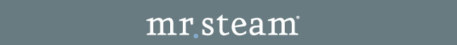 Mr. Steam Mr. Steam