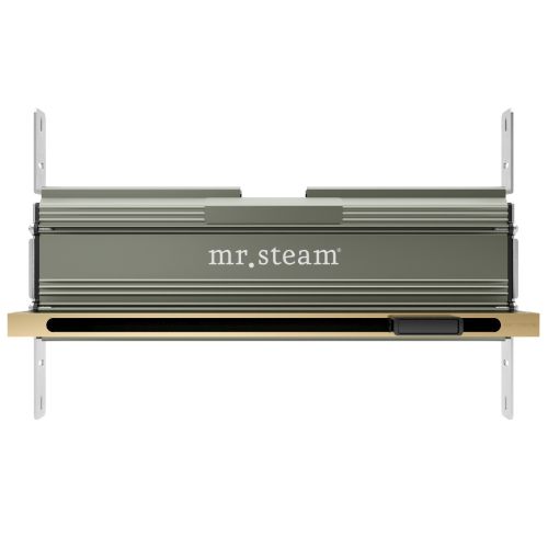 Mr Steam 104480 16" Linear Steam Head in Satin Brass