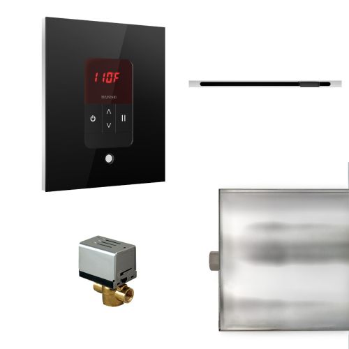 Mr Steam Square Basic Butler Package with Linear SteamHead in Black