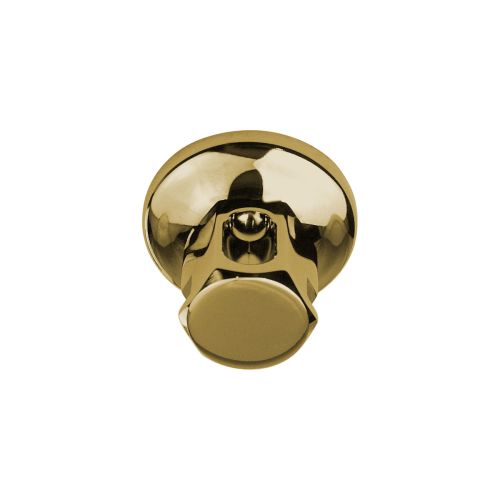 ThermaSol Old Style Steam Head DLX 1/2" in Polished Brass