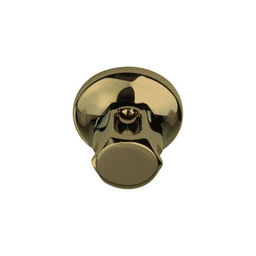 ThermaSol Old Style Steam Head DLX 1/2" in Satin Brass