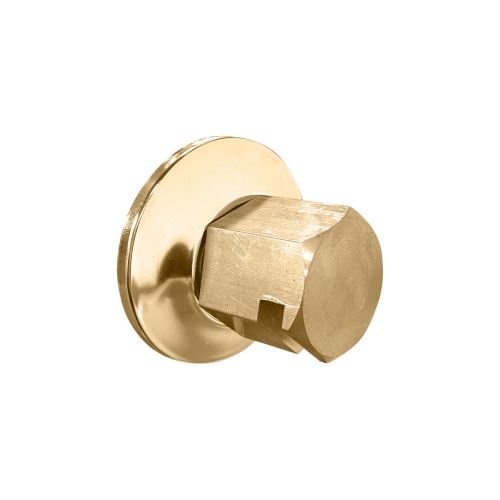 ThermaSol Traditional Style Steam Head 3/4" in Satin Brass
