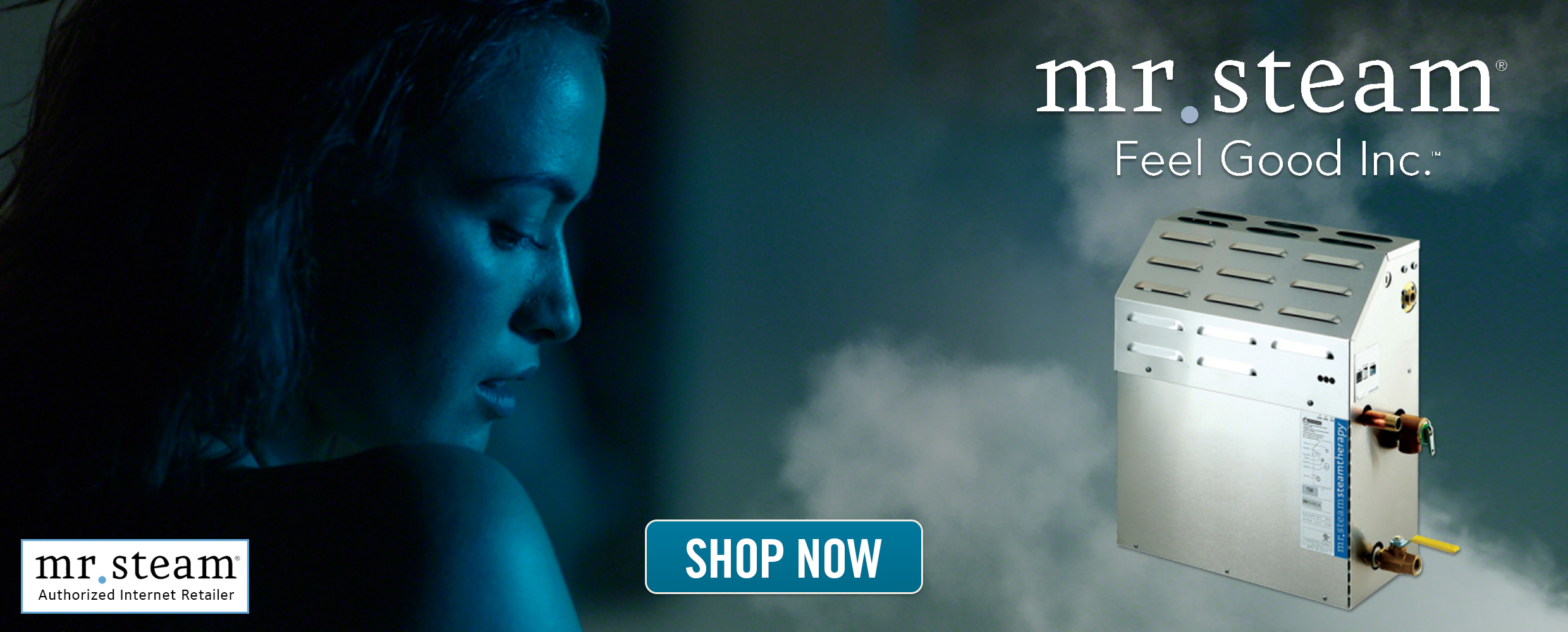 Mr Steam ITempo Steam Showers